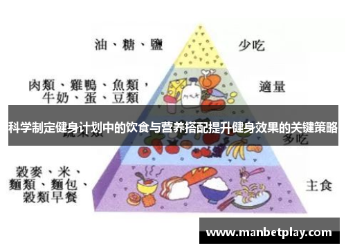 科学制定健身计划中的饮食与营养搭配提升健身效果的关键策略