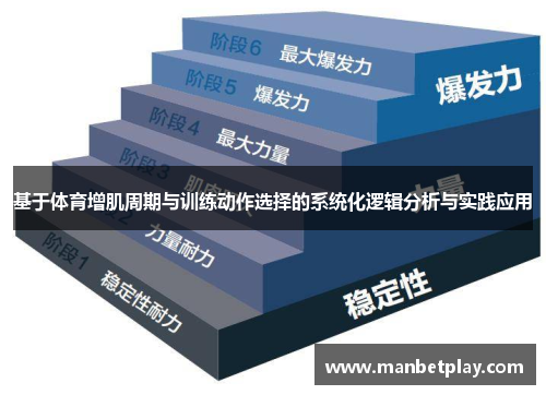 基于体育增肌周期与训练动作选择的系统化逻辑分析与实践应用